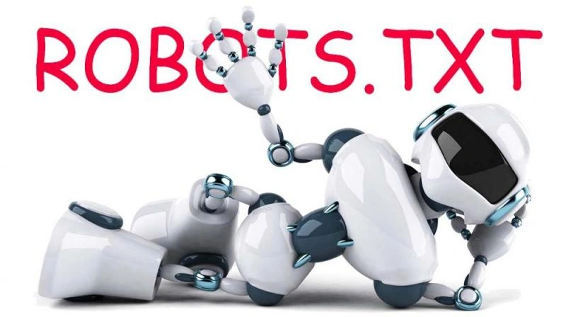 Что такое robots.txt и зачем он нужен в Петрозаводске